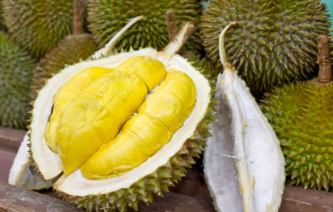why does durian smell so bad