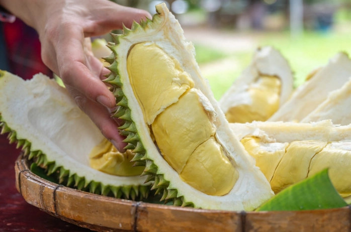 durian smell description