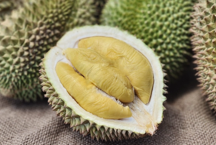 why does durian smell so bad