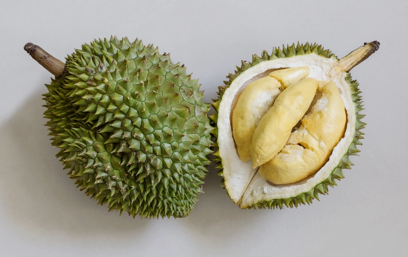 how to eat durian how to eat durian