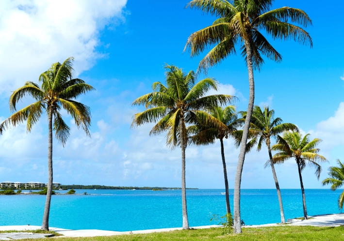 best time to visit Florida best time to visit Florida