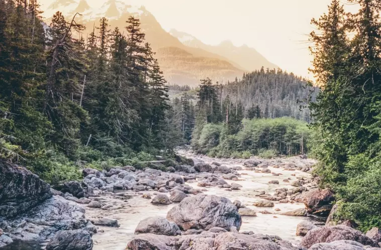 best east coast vacations