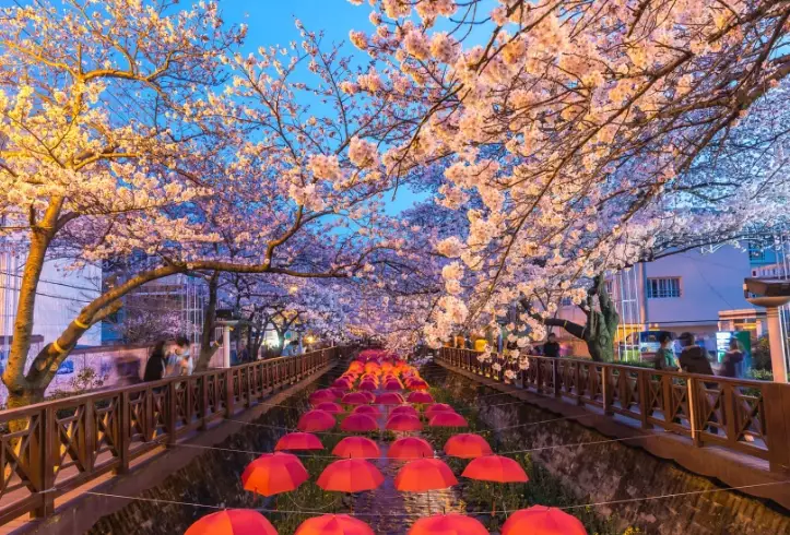 Seoul attractions Seoul attractions