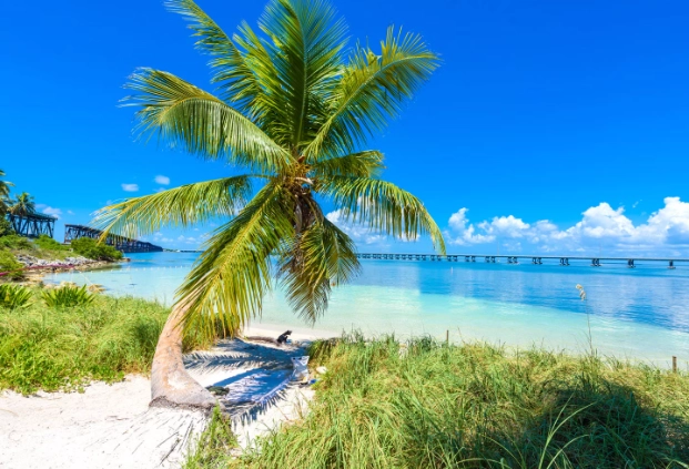 Florida travel guide Florida travel guide