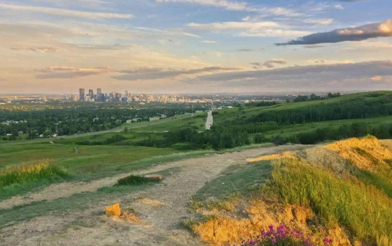 things to do in calgary