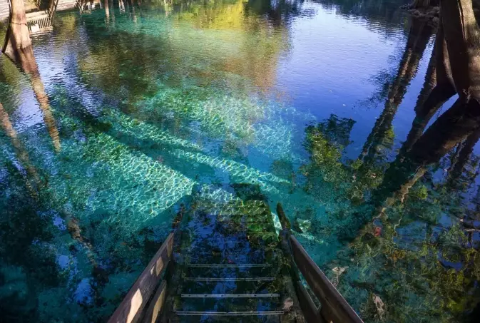 things to do in florida