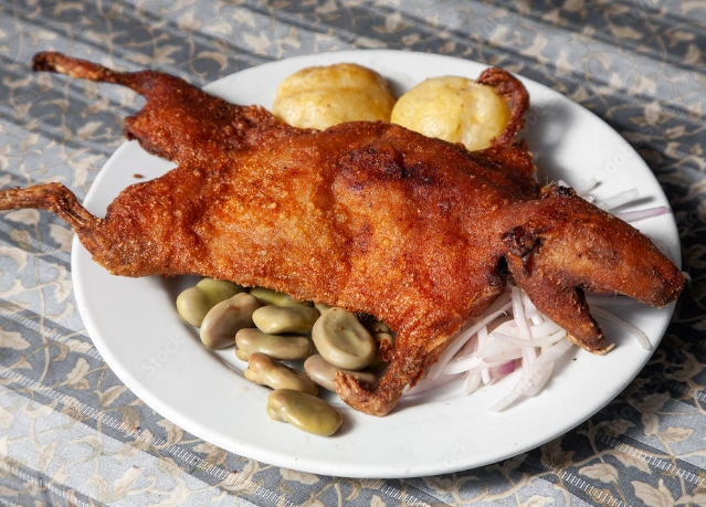 guinea pig food guinea pig food