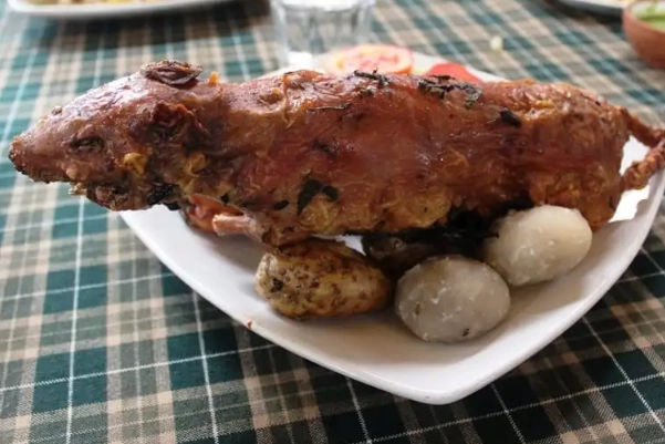 guinea pig peru food
