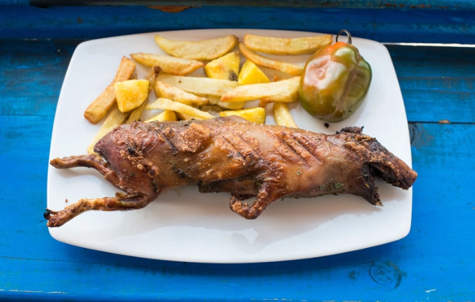 guinea pig food guinea pig food