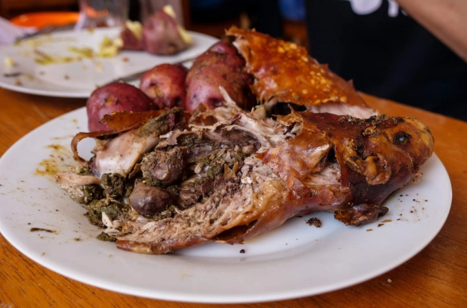 guinea pig food guinea pig food