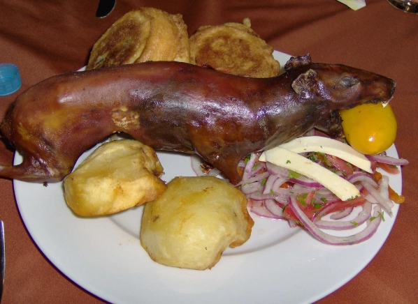 cuy chactado cuy chactado