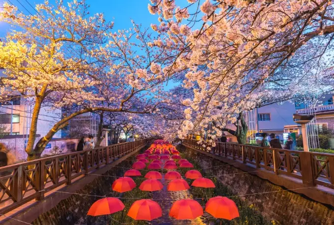 south korea travel guide