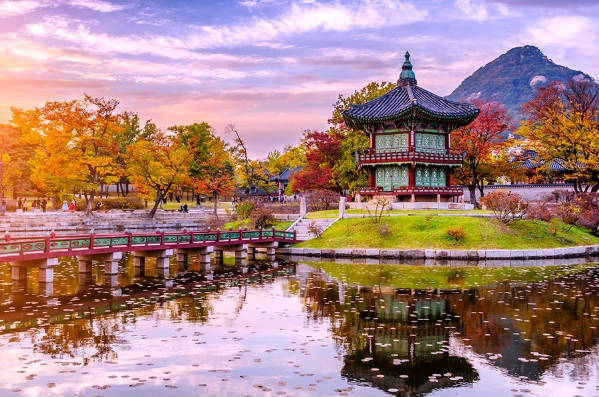 things to do in Seoul things to do in Seoul