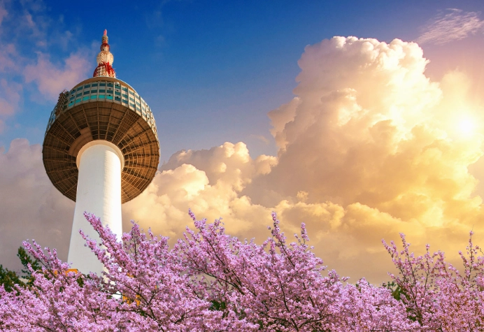 things to do in Seoul