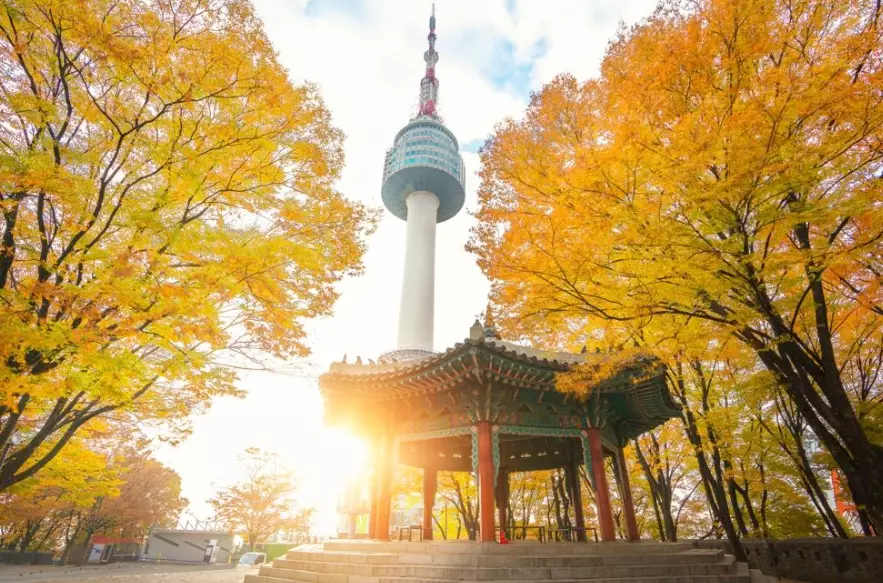 things to do in seoul