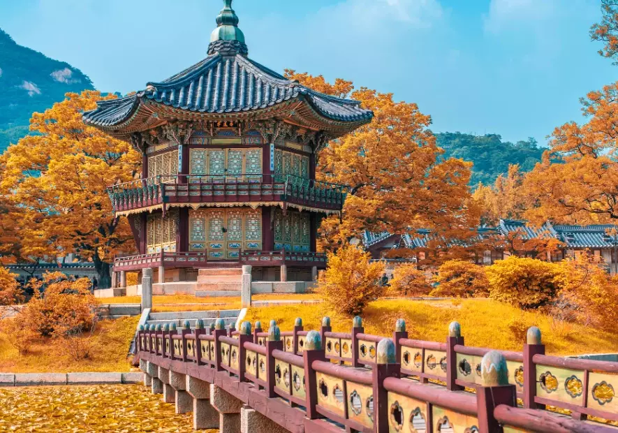 things to do in seoul