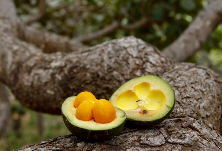 best street food in seoul