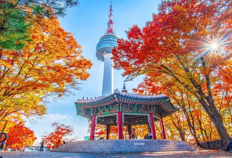 things to do in Seoul