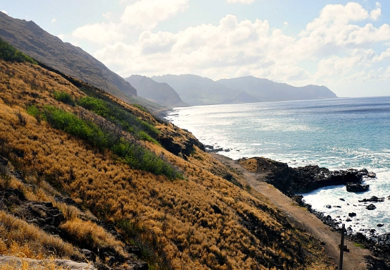kaena point trail