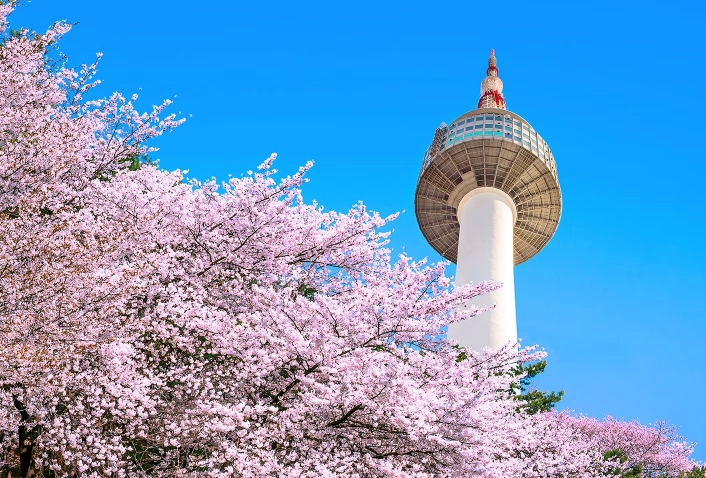 what to do in seoul south korea what to do in seoul south korea