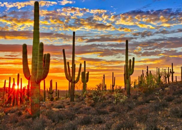 things to do Arizona things to do Arizona