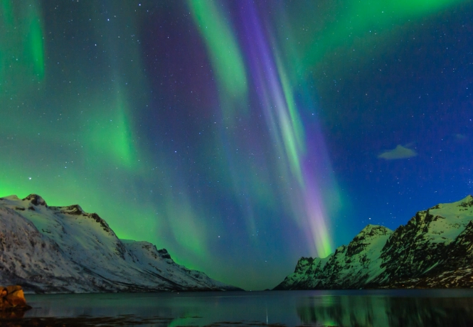 things to do in tromsø