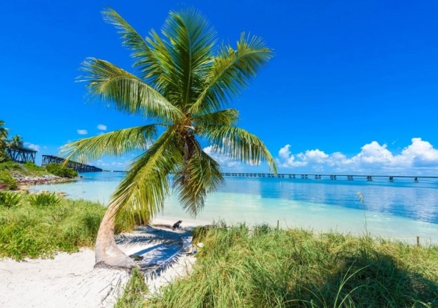 Florida vacation spots