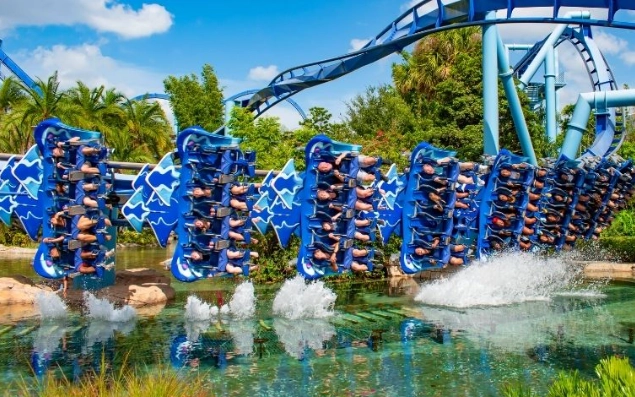 Florida beach activities