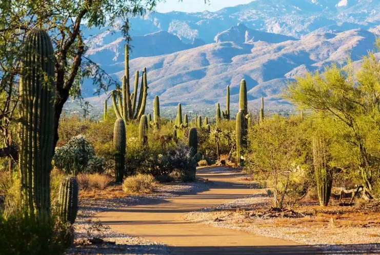 Sedona hiking trails