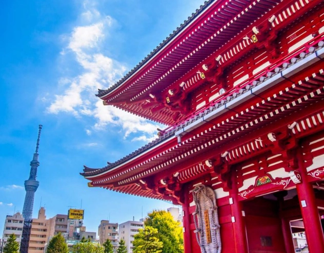things to do in tokyo
