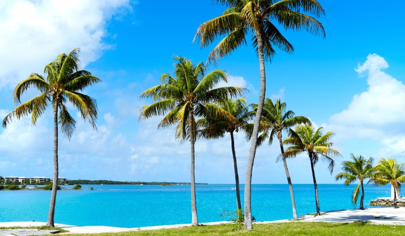 Florida beach vacations Florida beach vacations