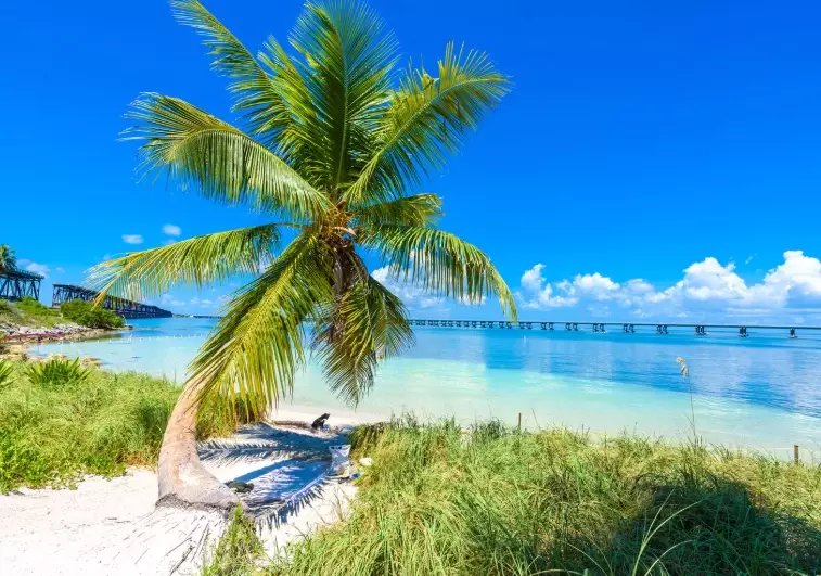 best places to vacation in Florida best places to vacation in Florida