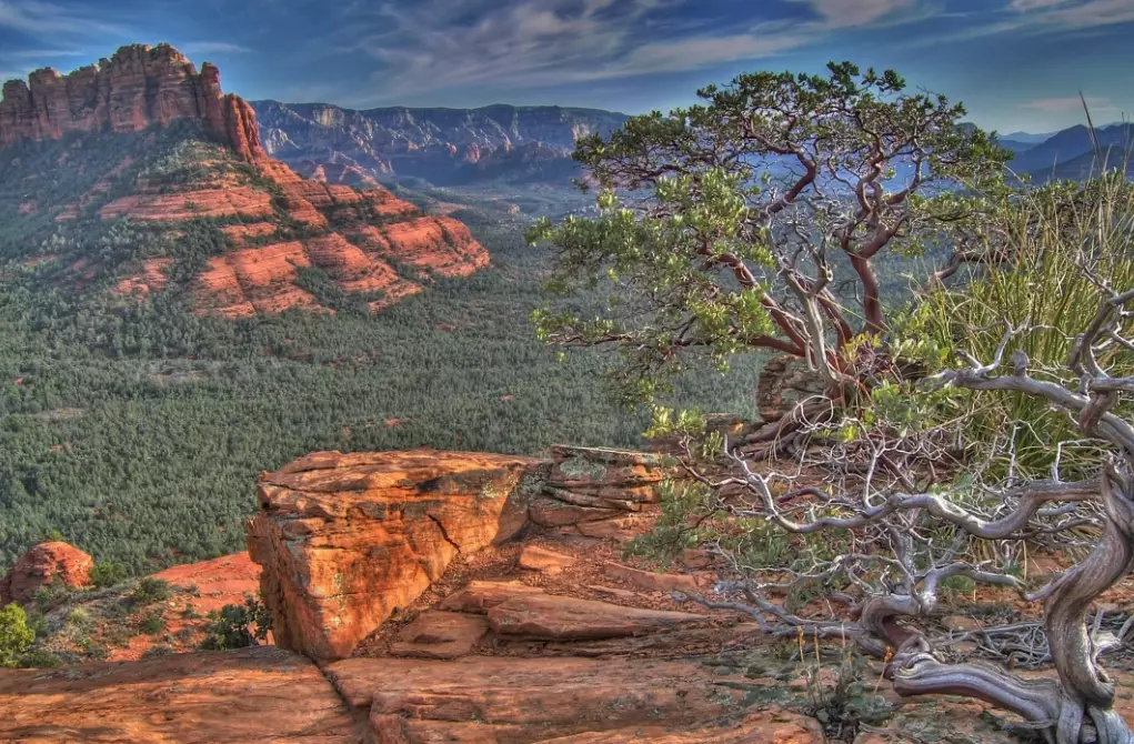 Arizona desert landscapes