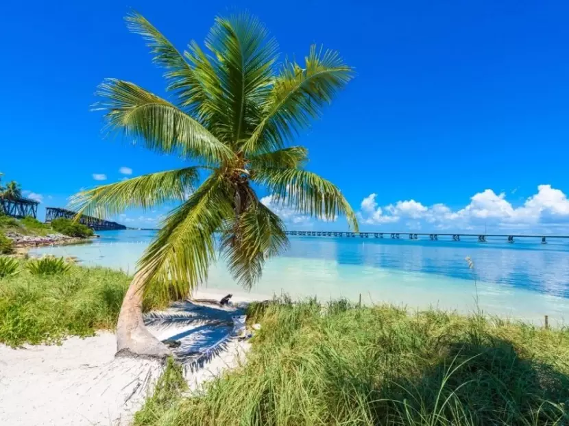 best places to visit in Florida