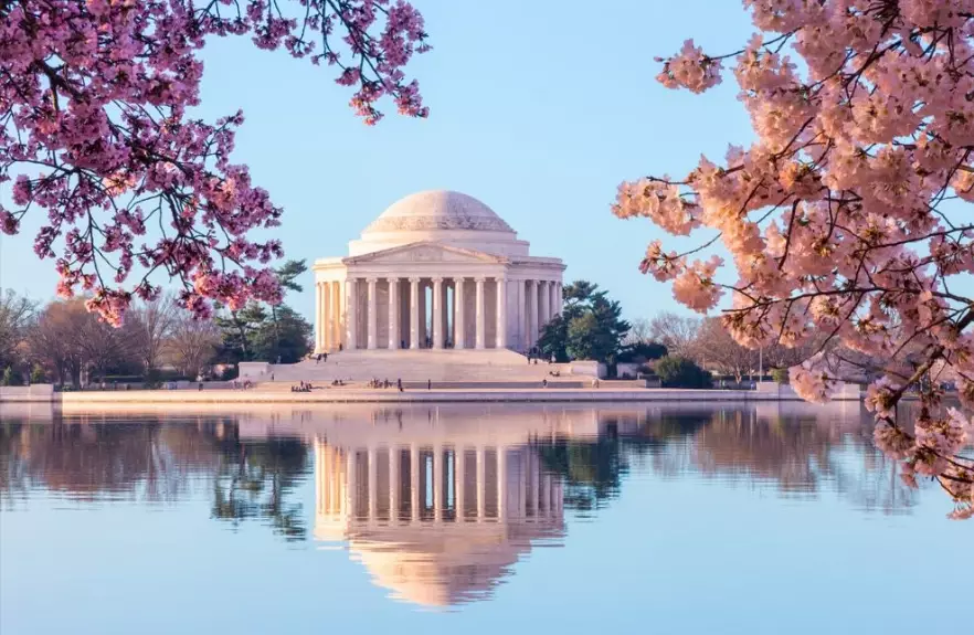 things to do in washington dc