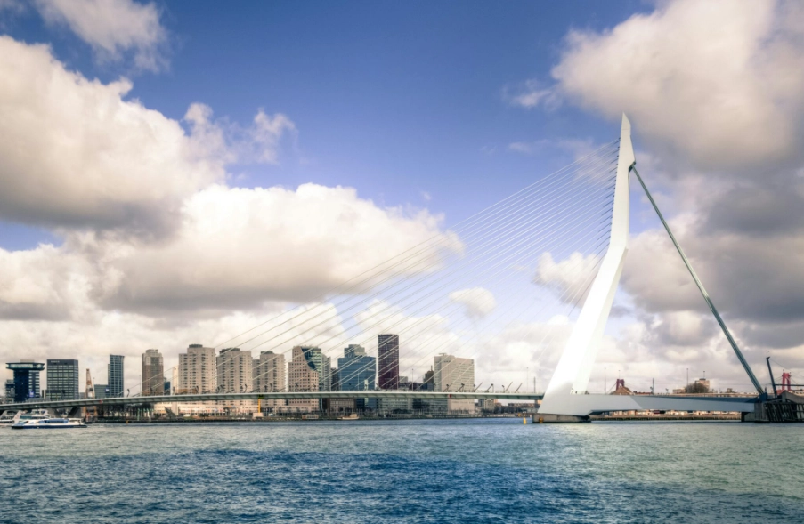 things to do in rotterdam