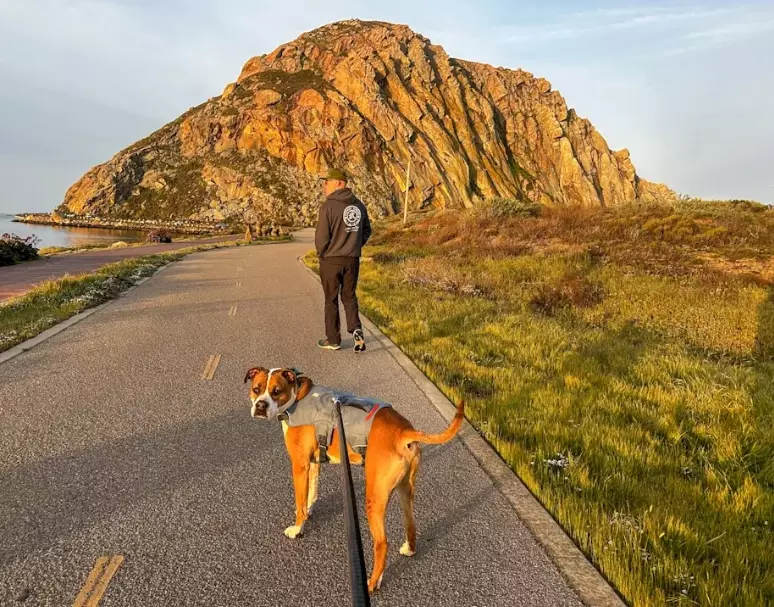 California road trip itinerary